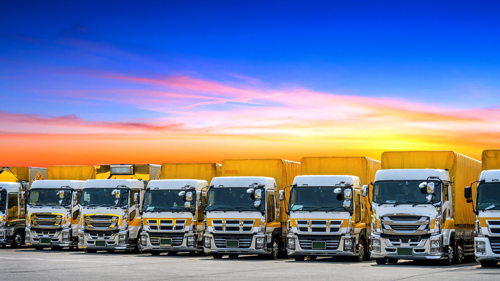 Sion Global Logistics